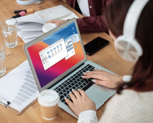 Data Entry & BPO Services